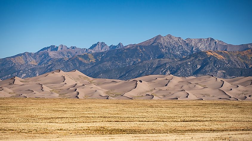 Panoramic view of Great Sand Dunes National Park in Colorado.