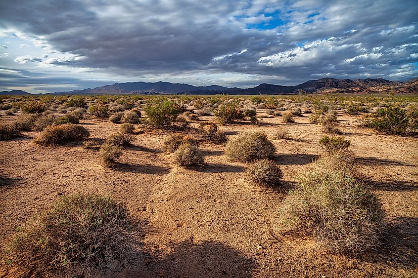 Jackass Flats on route 95 Nevada