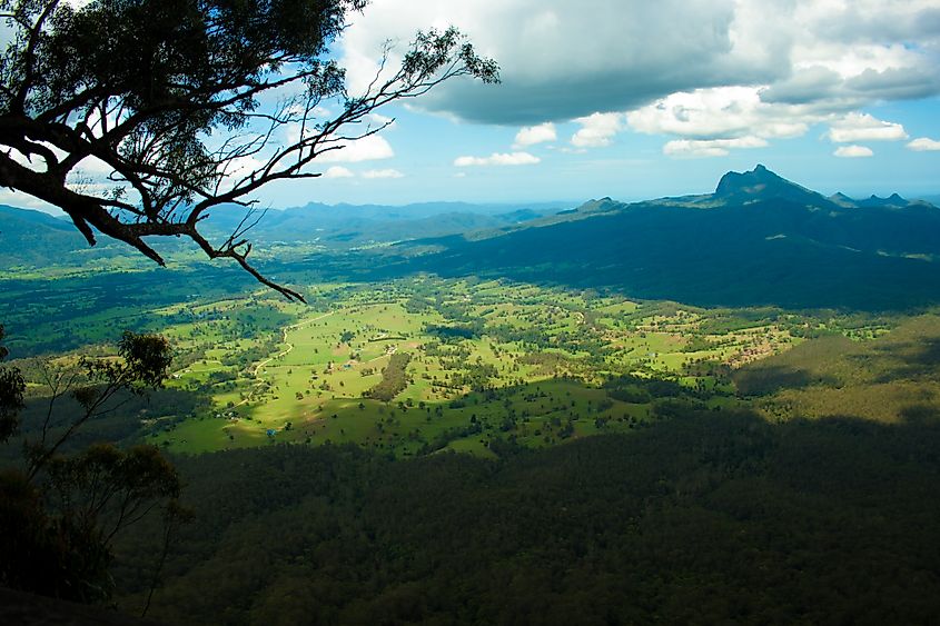Border Ranges National Park with Wollumbin (Mount Warning) in the distance.