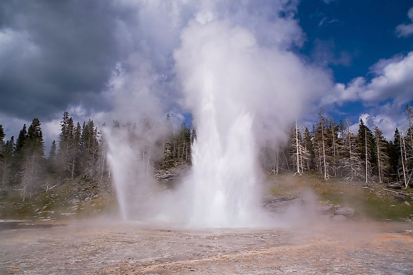 The erupting Grand Geyser in Yellowstone National Park.