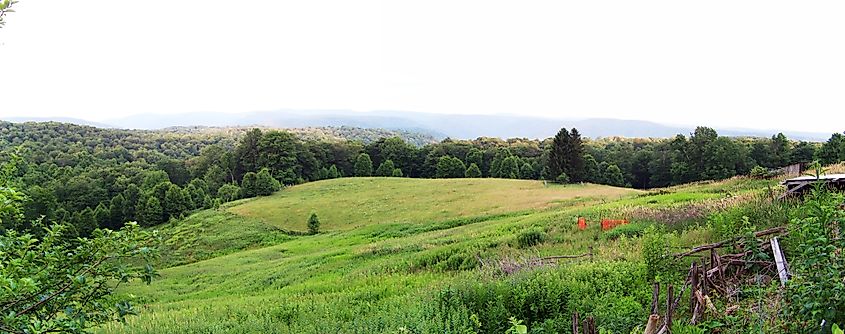 Potato Knob in Webster County, West Virginia (Idawriter, CC BY-SA 3.0 <https://creativecommons.org/licenses/by-sa/3.0>, via Wikimedia Commons)