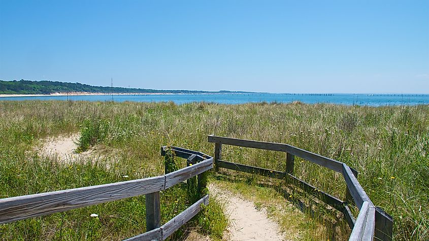 Trail along the beach in Kiptopeke State Park, Virginia.