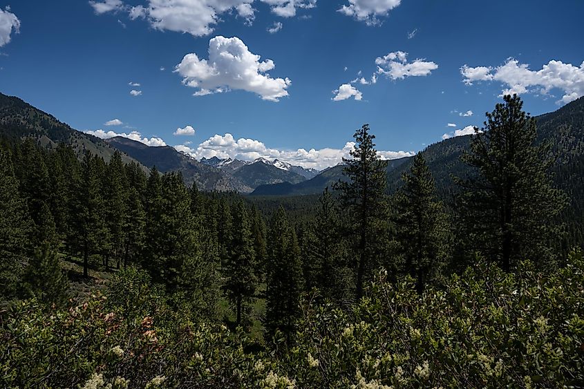 Boise National Forest, Idaho.