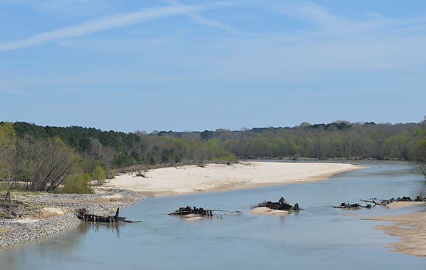 View of the Homochitto River.