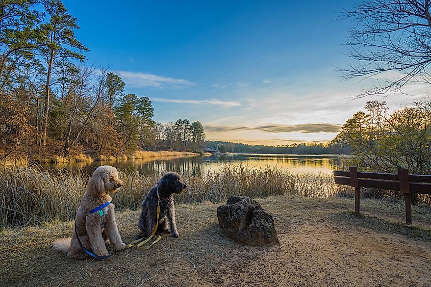 Tyler State Park, Texas.