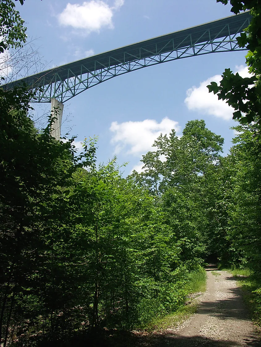 View looking up to the Phil G Mc Donald (Glade Creek) Bridge.