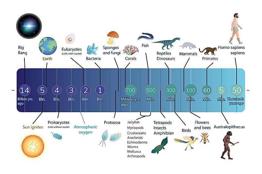 evolution