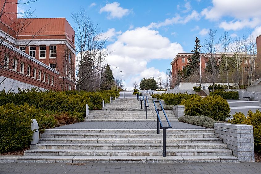 Vacated cement stairs lead through a university campus in Pullman, Washington.