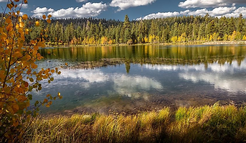 Stunning autumn view of the mirror lake of Duck Creek in Dixie National Forest Sothern Utah