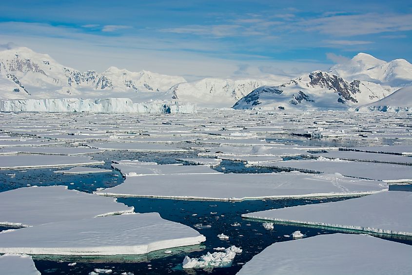 Icebergs display the physical properties of granular materials during ice floes