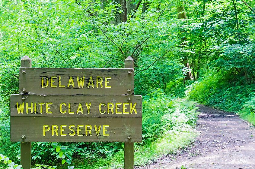 A wooden sign reading 'Delaware White Clay Creek Preserve' stands beside a wooded trail surrounded by dense green foliage.