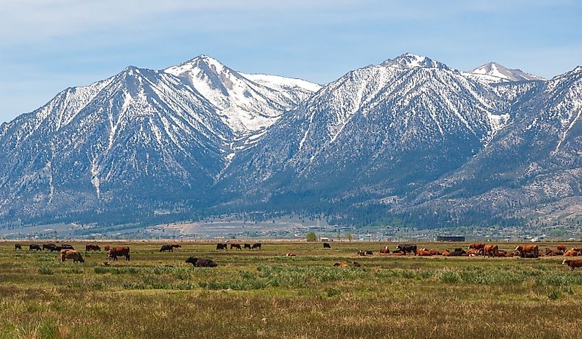 Carson Range Spur of the Sierra Nevada mountains in Nevada