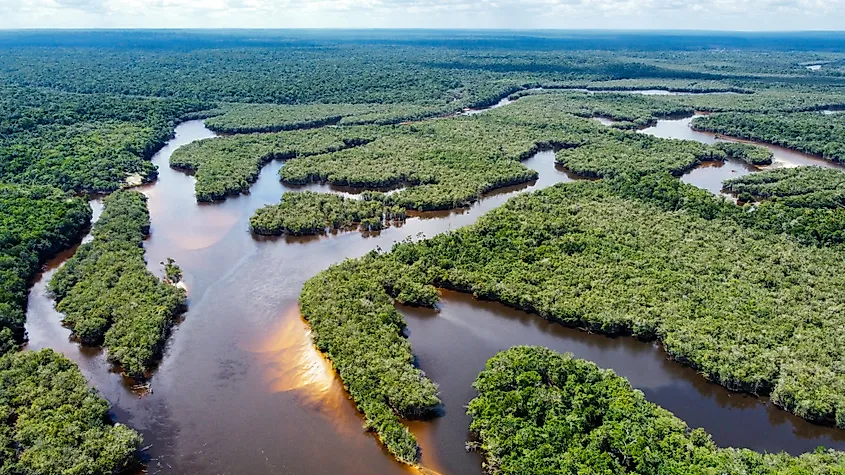 Aerial view of the vast green Amazon Rainforest.