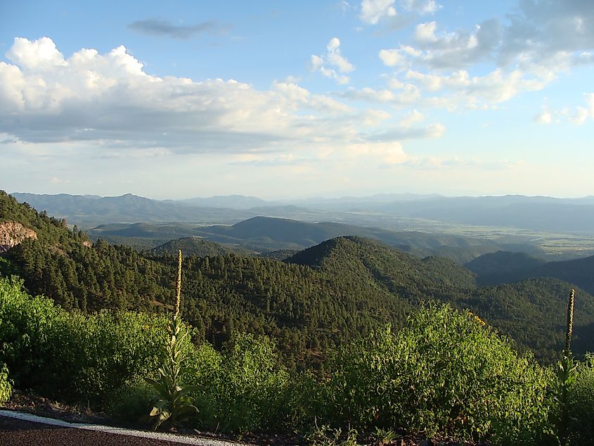 Apache-Sitgreaves National Forests