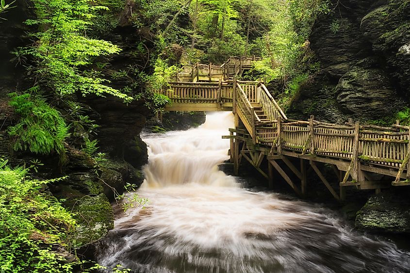 Bushkill Falls