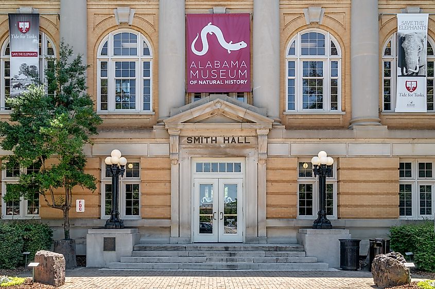 Smith Hall and Alabama Museum of Natural History on the campus of University of Alabama.