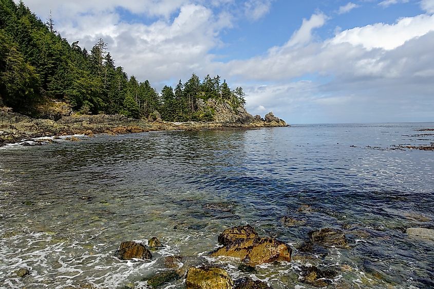 A beautiful view of a pretty beach surrounded by forest and clean ocean water, in Gwaii Haanas National Park Reserve, Haida Gwaii, British Columbia, Canada.
