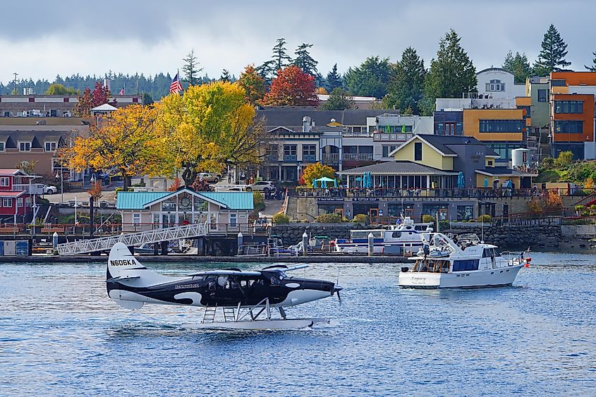 Kenmore Air floatplane painted as an orca on the water in the port of Friday Harbor, San Juan Islands, Washington State, United States.