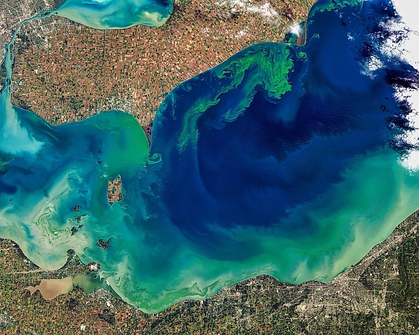Toxic Algae Bloom in Lake Erie