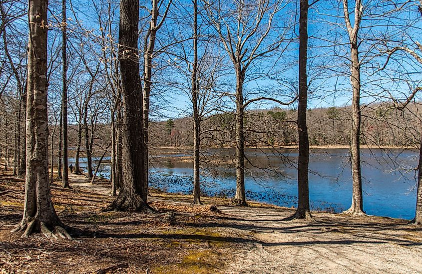 Pocahontas State Park