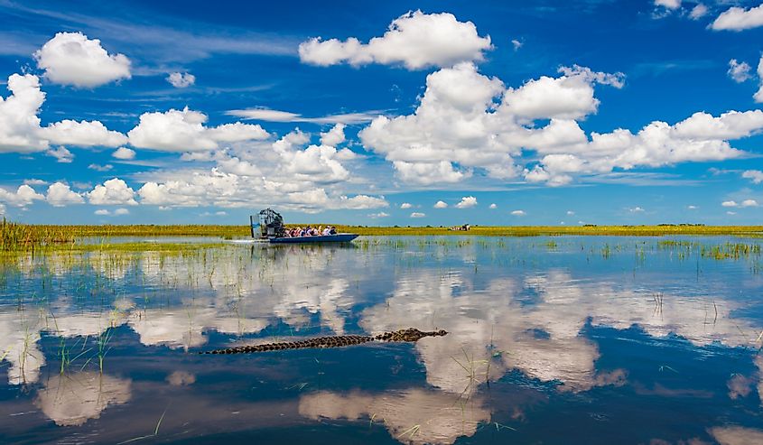 Голубое небо отражается в тихих водах Эверглейдс, в то время как туристы совершают прогулки на воздушной лодке, чтобы увидеть диких хищников