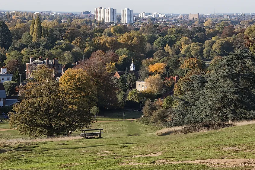 Richmond Park, London