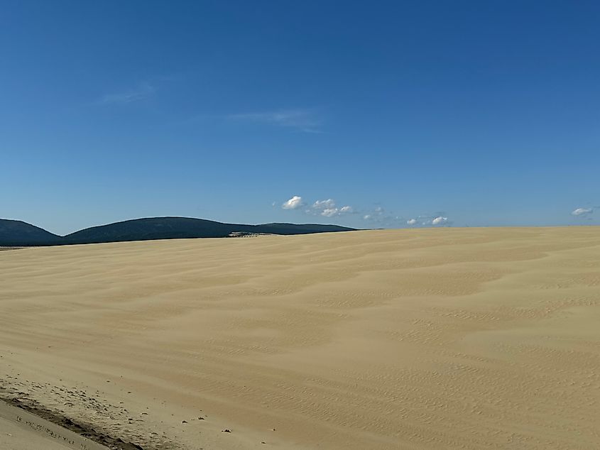 Kobuk Sand Dunes, Kobuk Valley National Park.