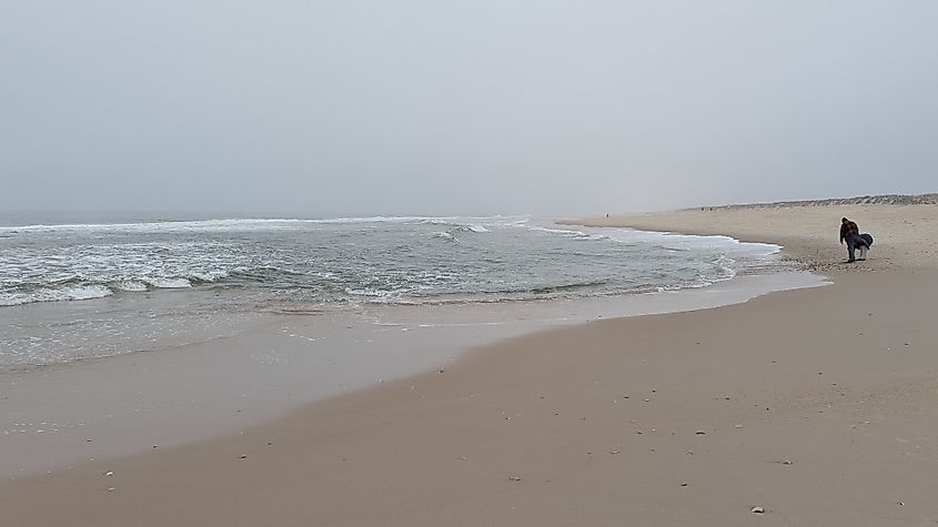 View of the beach at Fire Island National Seashore, New York