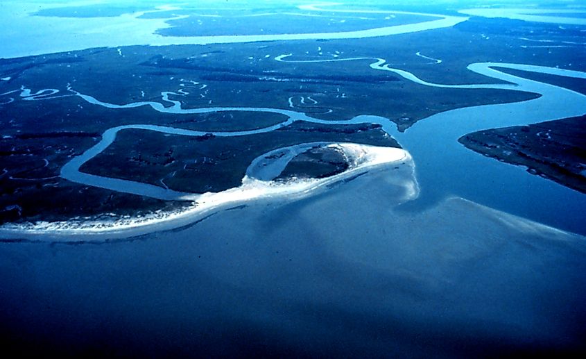 ACE Basin (Otter Island)