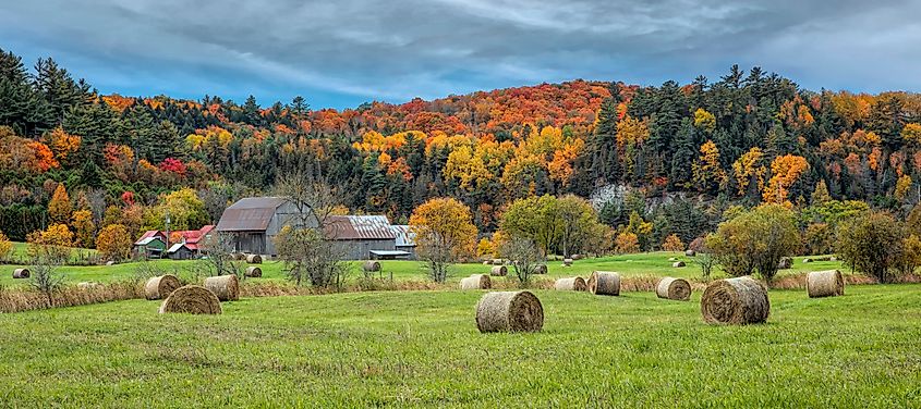 A picturesque autumn scene near Chelsea, Quebec.