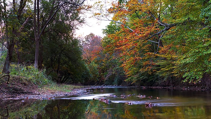 White Clay Creek in the fall