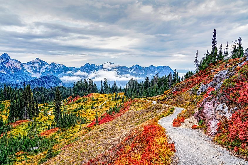 Washington, USA: Fall colors at Paradise area at Mount Rainier National Park