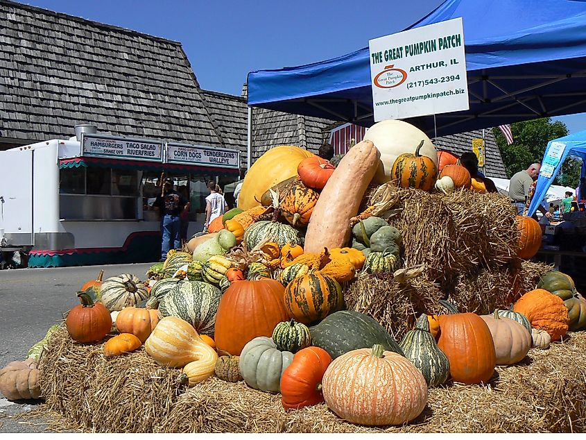Great Pumpkin Patch in Arthur, Illinois. Image credit: Yuan2003 via Flickr.com
