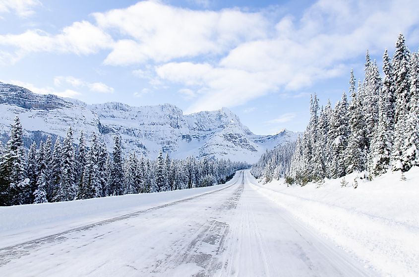 Route 93 to Jasper, AB, Canada during winter time. 