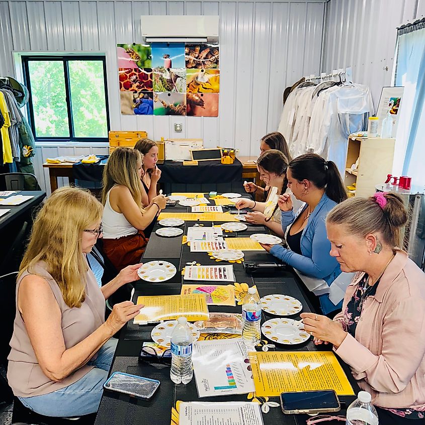 A honey tasting experience with Dry Creek Beekeeping. Photo courtesy of Dry Creek Beekeeping.