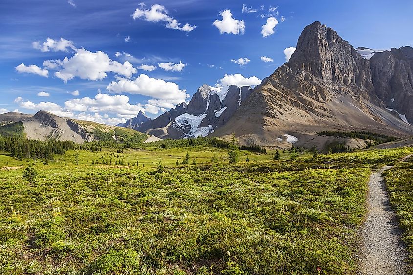 Green Alpine Meadows and Rockwall Mountain Cliffs on a Great Summertime Hiking Trail in Kootenay National Park, Canadian Rockies