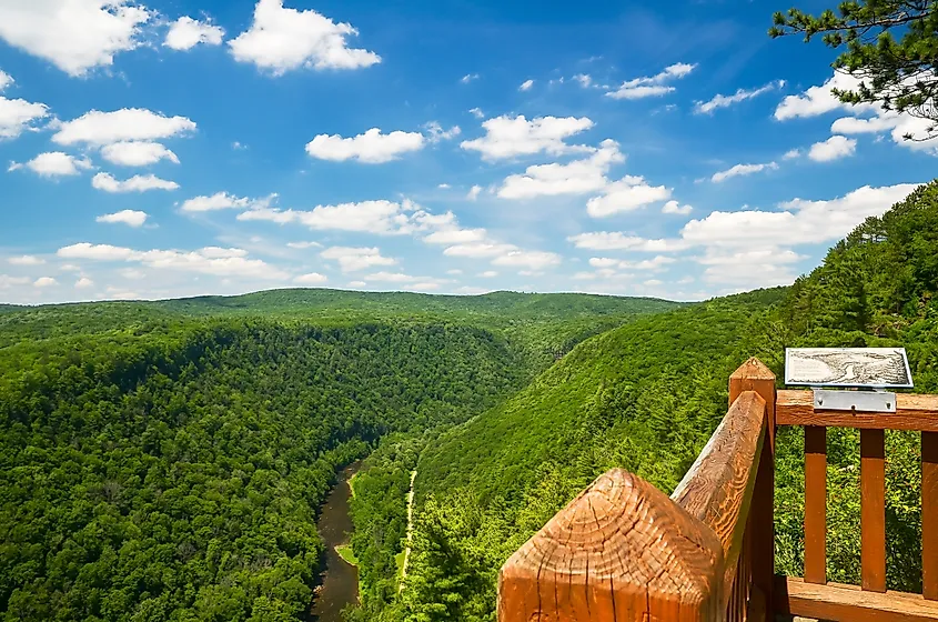 Pine Creek Gorge, also called the Grand Canyon of Pennsylvania. Editorial Photo Credit: Reid Dalland Shutterstock