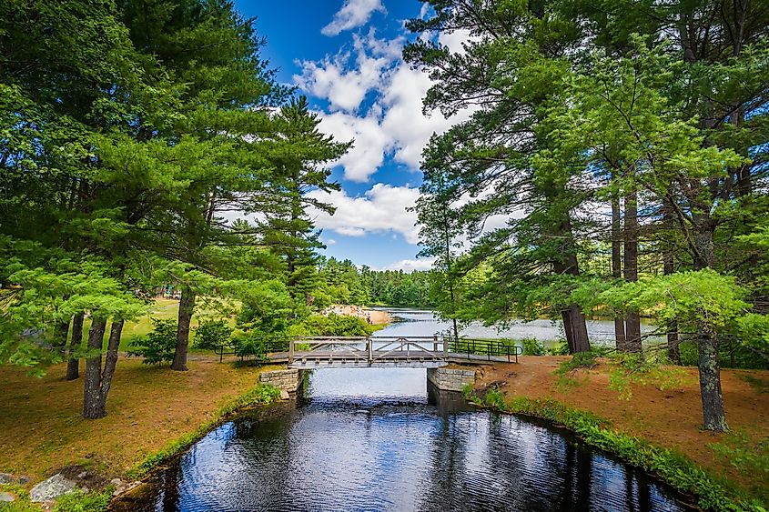 Bridge and pine trees at Bear Brook State Park, New Hampshire.