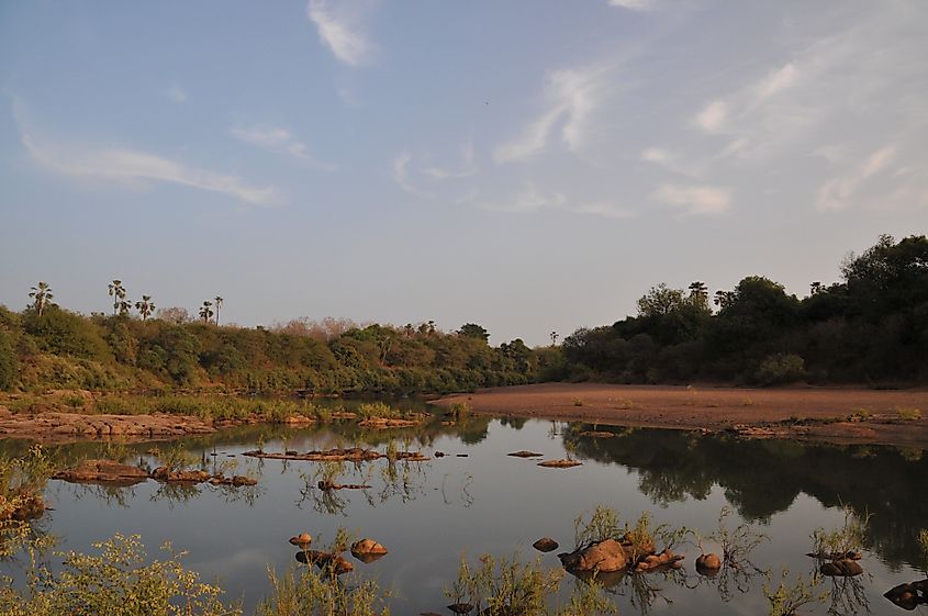 Niokolo Koba National Park