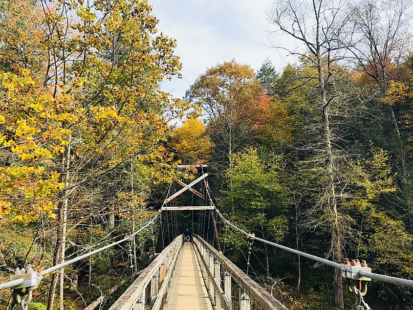 The swinging bridge over Toccoa River in Blue Ridge, Georgia. Credit: Sally Masters/ Shutterstock.com