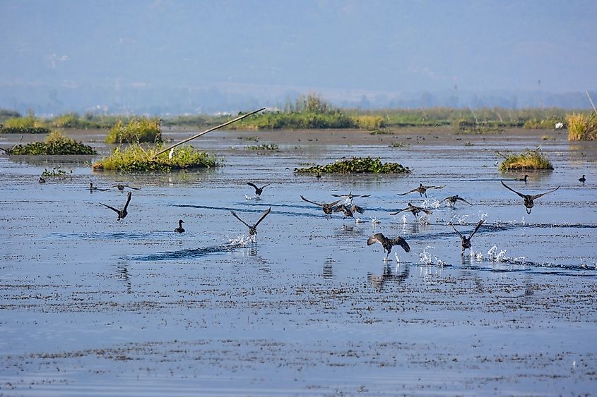 Loktak Lake