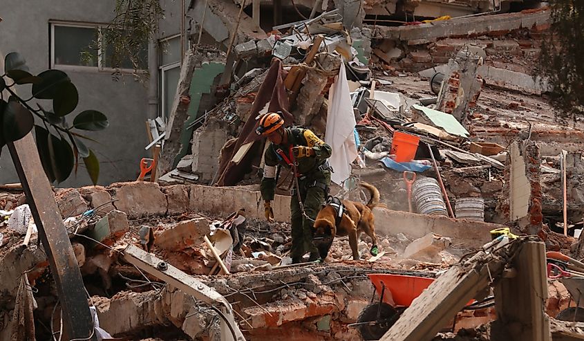 Rescue workers and volunteers in a collapsed buildings in Del Valle zone of Mexico City in consecuence of the earthquake of September, 2017