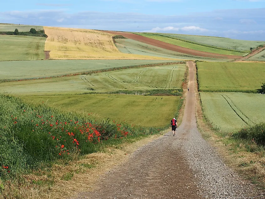 pilgrim walking the long road to Santiago through the rolling countryside of Northern Spain.