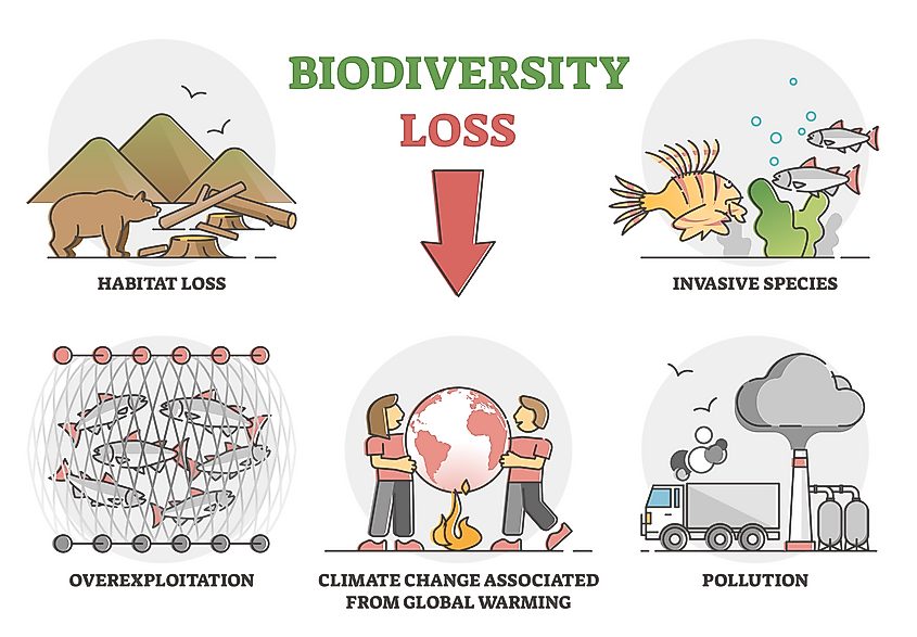 reasons of Loss of biodiversity