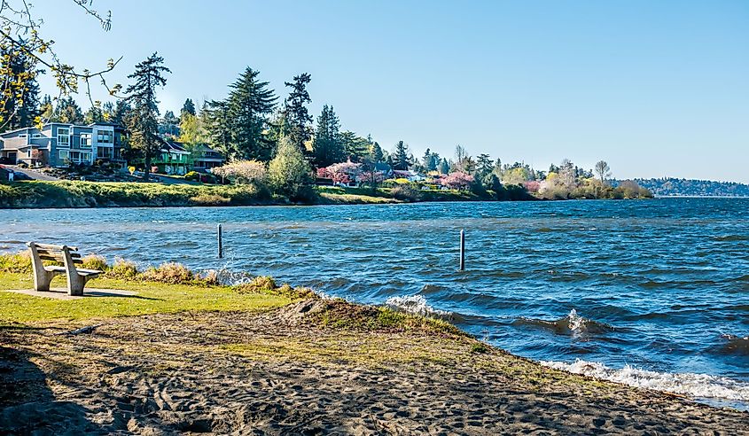 Spring blossoms line Lake Washington Boulevard in Seattle, Washington