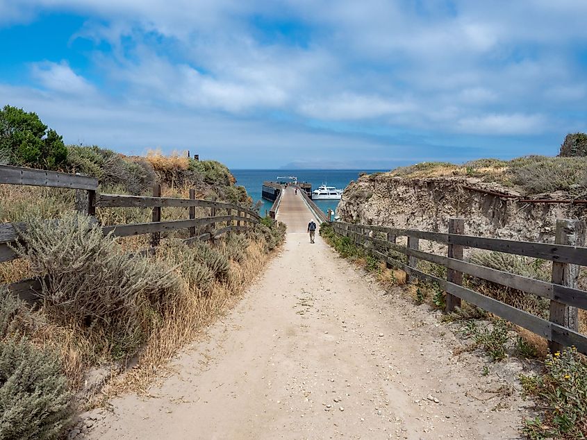 Road at Bechers Bay Pier on a sunny, spring day at Santa Rosa Island