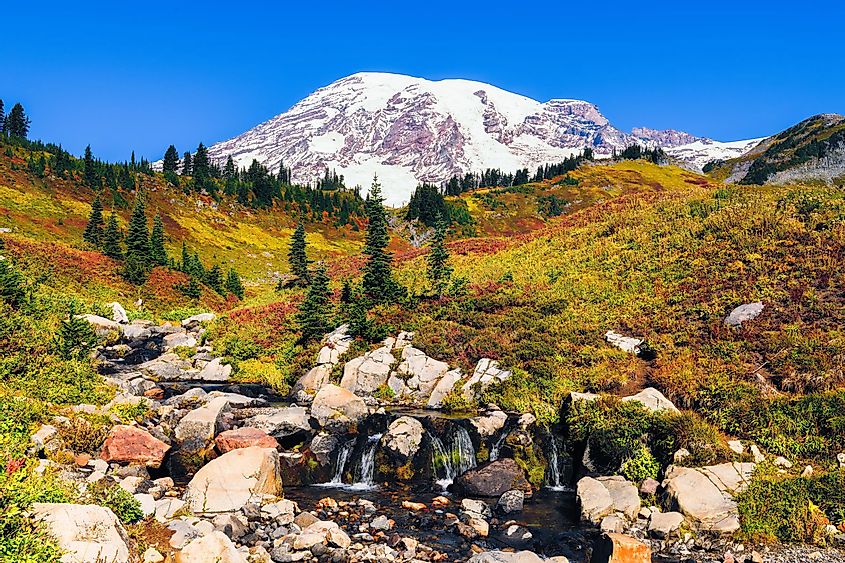 Edith Creek in Mount Rainier National Park flows in front of the volcanic peak as fall colors cover the hillside
