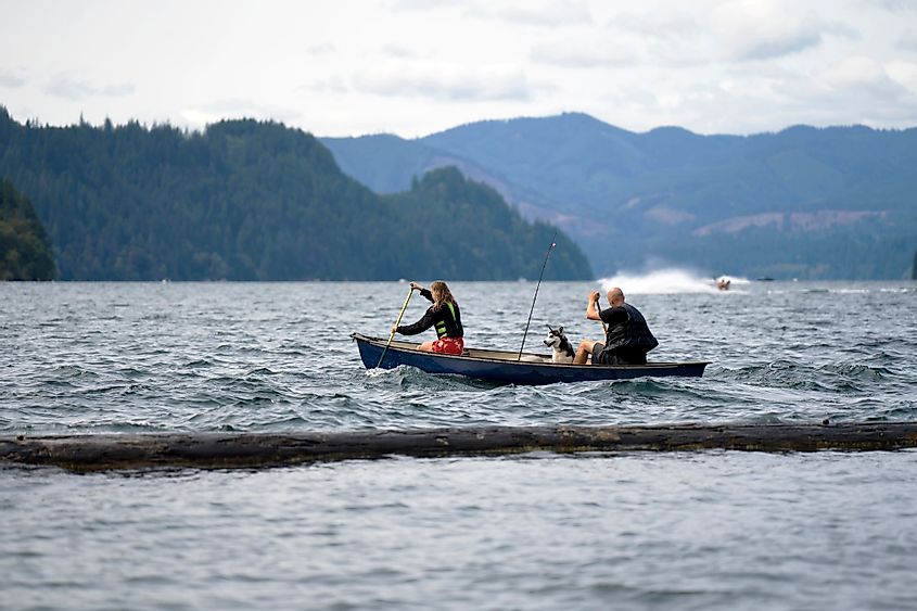 Father-daughter duo in life jackets with a husky dog rowing in a kayak boat in Merwin Lake