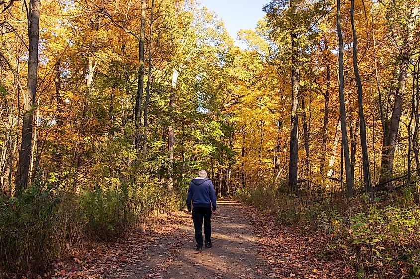 North Country Scenic trail