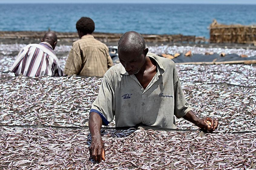 Burundian men dry fish at Tanganyika Lake